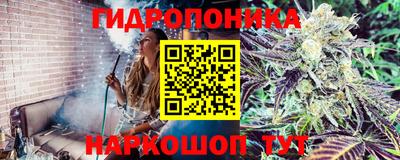 спайс Шелехов