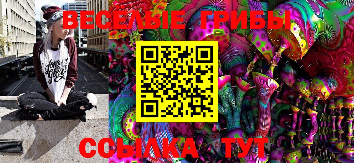 Галлюциногенные грибы Cubensis Прокопьевск