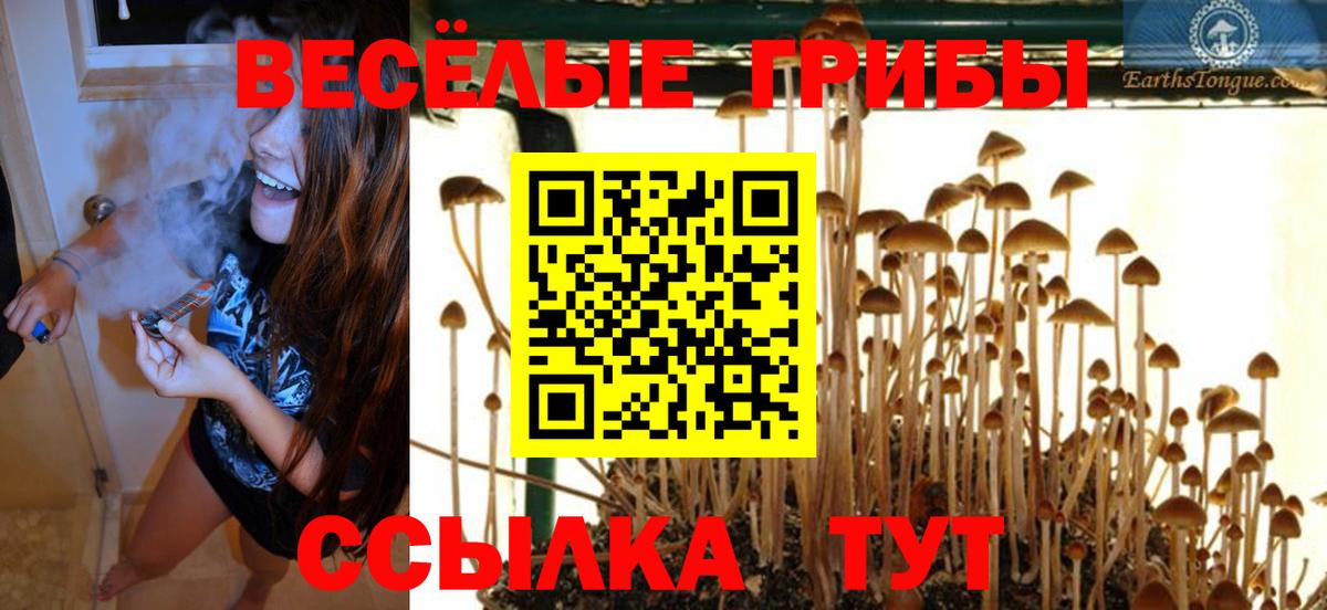 Галлюциногенные грибы ЛСД  продажа наркотиков  Вход с VPN  Прокопьевск  Псилоцибиновые грибы Cubensis 